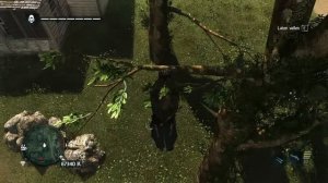 Assassin's Creed 4 - How to get Animus fragment in the tree -  Kingston