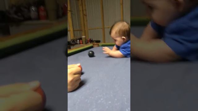 Kaiser wants to crawl... Almost смотреть онлайн