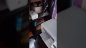 Средство от клопов Гектор. Правда или миф