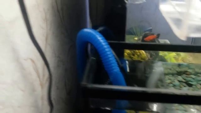 Мини САМП для аквариума своими руками смотреть онлайн