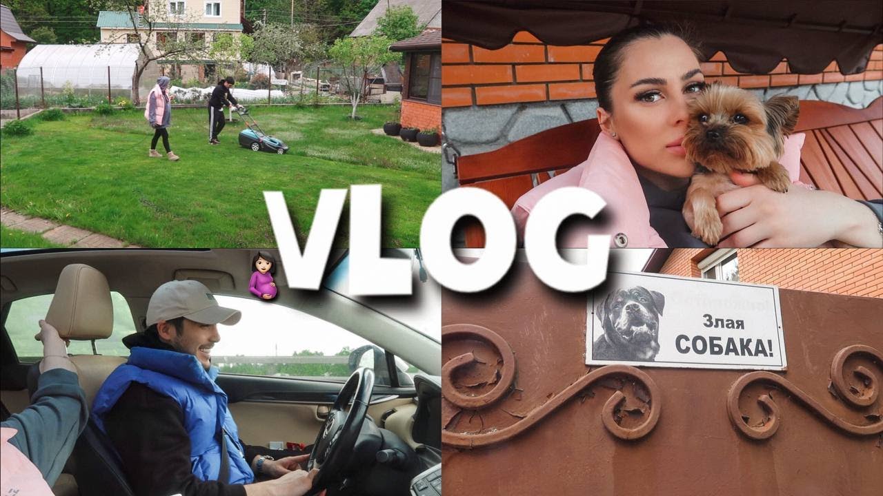 КОСИМ ГАЗОН | НАМ ПОКРАСИЛИ ВОРОТА | РАЗБИРАЕМ ХЛАМ смотреть онлайн