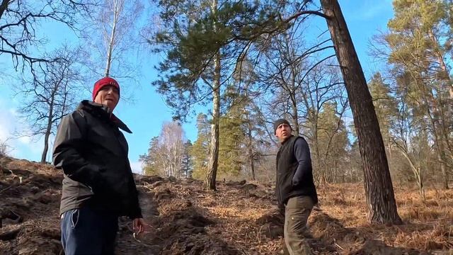 Выписали лес для строительства, едем смотреть! смотреть онлайн