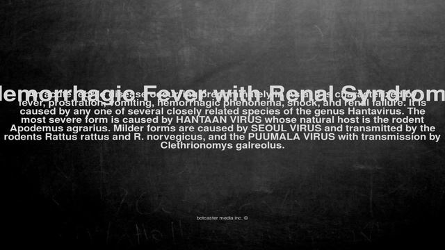 Medical vocabulary: What does Hemorrhagic Fever with Renal Syndrome mean смотреть онлайн