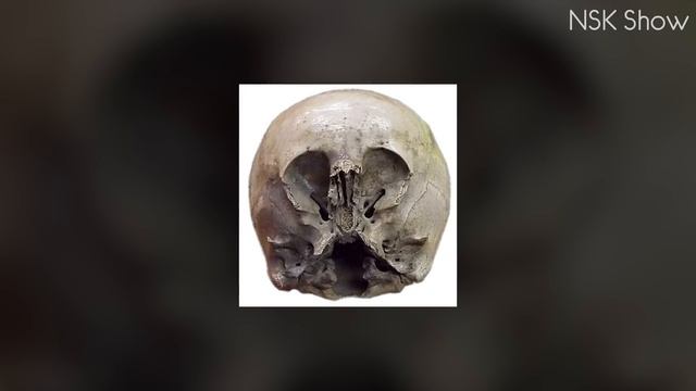 Нашу Историю пора ПЕРЕПИСАТЬ. 4 Удивительные находки археологов