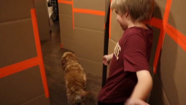 What Time Is It Mr. Wolf? Stuck At Home Box Fort Maze Games смотреть онлайн