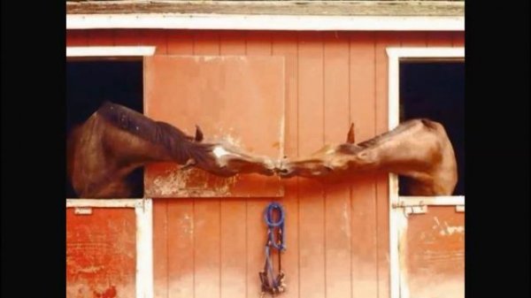 PEREZ PRADO - La Cucaracha