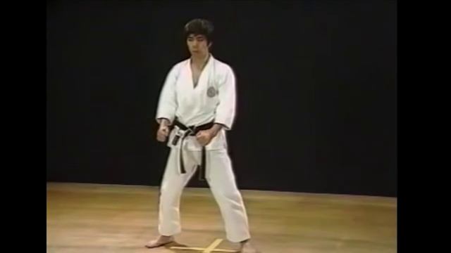 KATA TEKKI NIDAN | KARATE SHOTOKAN, Hirokazu Kanazawa Sensei смотреть онлайн