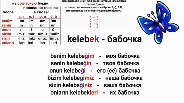Турецкий язык. Урок 4. Принадлежность предмета. смотреть онлайн