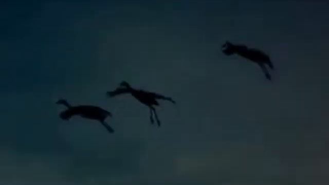 Евгений Белый - Птица Белая смотреть онлайн