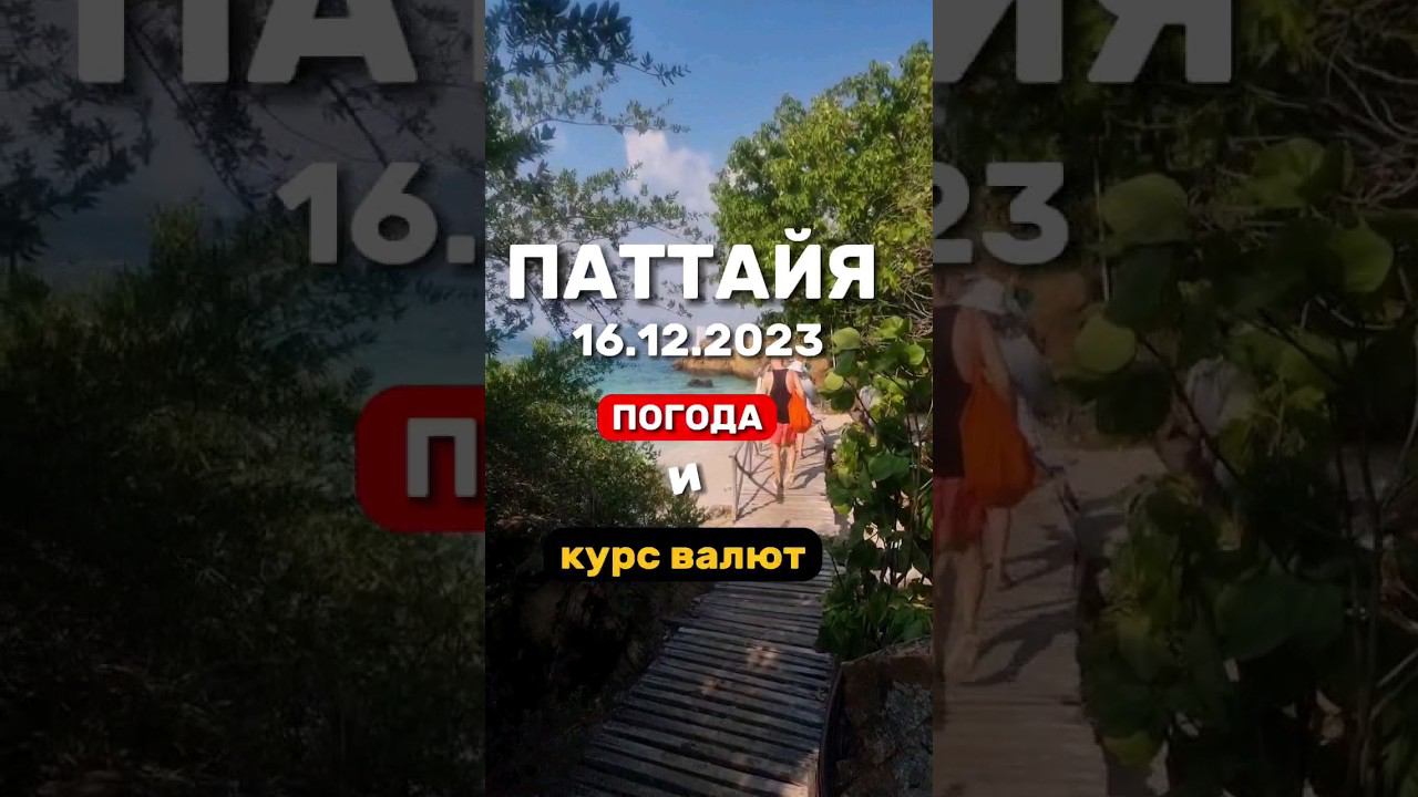 Ежедневные выпуски из Паттайи. Погода и курс бата . Экскурсии в Паттайе где купить. #паттайя2023 смотреть онлайн