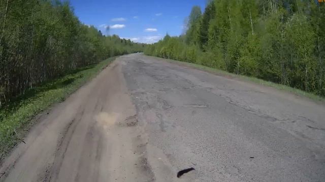 дорога ВЕТЛУГА - ШАРЬЯ