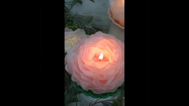 Свечи цветы созданные в технике "Лепесток к лепестку"| Свечи пионы| Мастерская СВЕЖЕСТЬ Барнаул смотреть онлайн