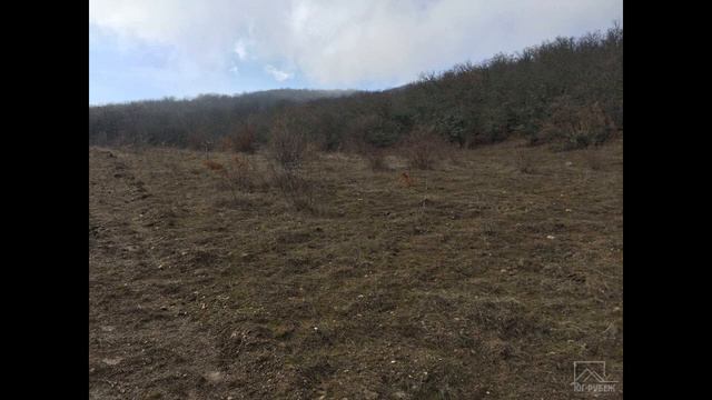 Продам земельный участок под ИЖС 8 соток г.Алушта, п.Лучистое смотреть онлайн