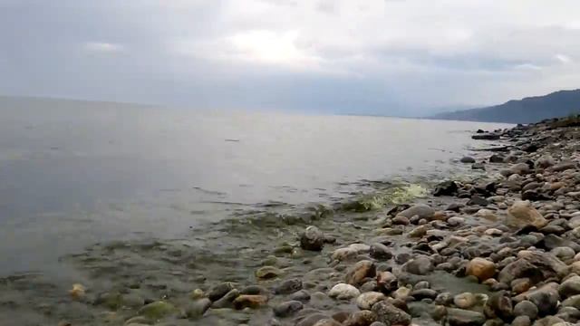 БАЙКАЛ ЦВЕТЁТ смотреть онлайн