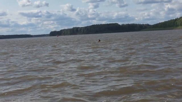 Татарин-Сибиряк проплыл Иртыш туда обратно в честь дня ВДВ смотреть онлайн
