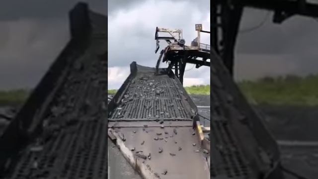 ГК Телеком - Сибэнергоуголь. смотреть онлайн