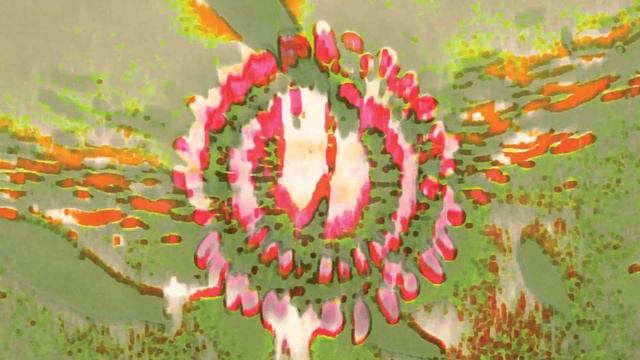 Aqua Garden Flow - Laraaji & Coral Morphologic with Robert Beatty (Official Teaser Trailer) смотреть онлайн