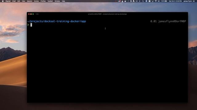 Let's Learn Docksal Part 5: Getting Started Using Docksal смотреть онлайн