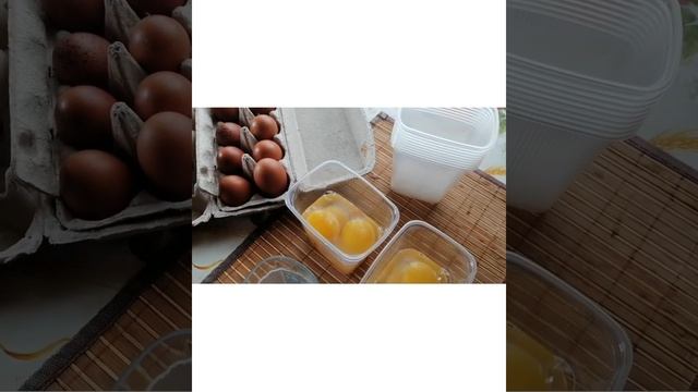 Заморозка Свежих Яиц На Зиму // С.Х.У смотреть онлайн