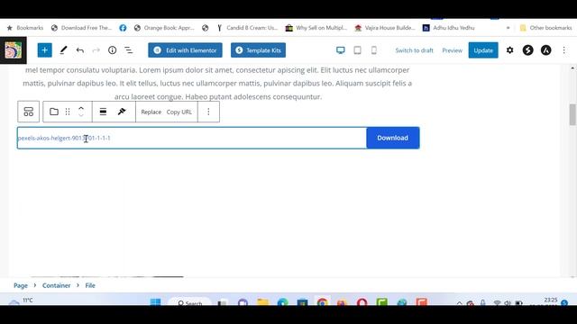 How to add Download Button on Click Any Files in WordPress смотреть онлайн