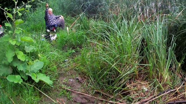 Рыбалка-эксперимент "Сколько можно набить карася на Петрушевском" смотреть онлайн