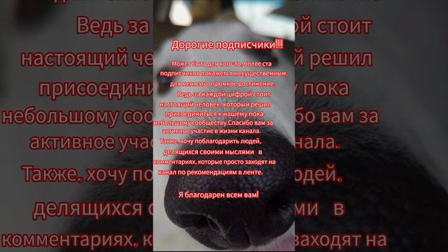 Благодарность. #БШОТея