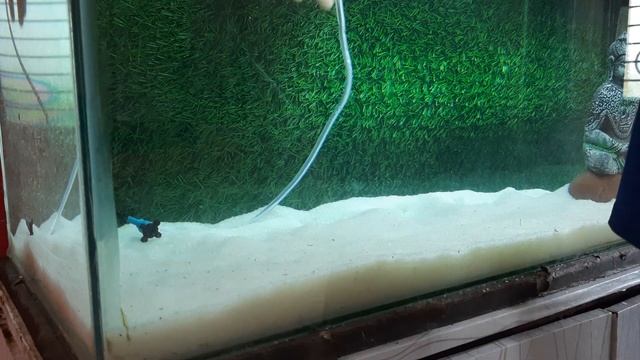 How to Make Air Bubbles Wall for Aquarium | Oxygenating tank with 2.5 feet Air bubbles wall смотреть онлайн