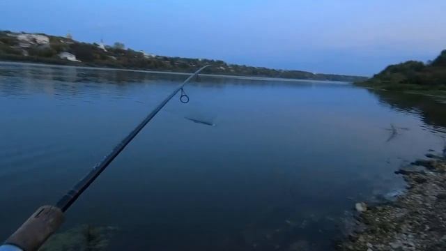 Ловля СУДАКА р.Ока!Что за КАРЯГА? смотреть онлайн