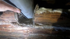 БАНЯ ИЗ ВАЛЕЖНИКА В ЛЕСУ | ВСЕ ГОТОВО | ЖДУ ПЕЧКУ | ИСПЫТАНИЕ МОРОЗОМ  -18