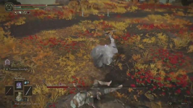 Collectibles. Elden Ring Platinum trophy and game guide Eldritch Ninja. Non-Dark Souls friendly Ep3 смотреть онлайн