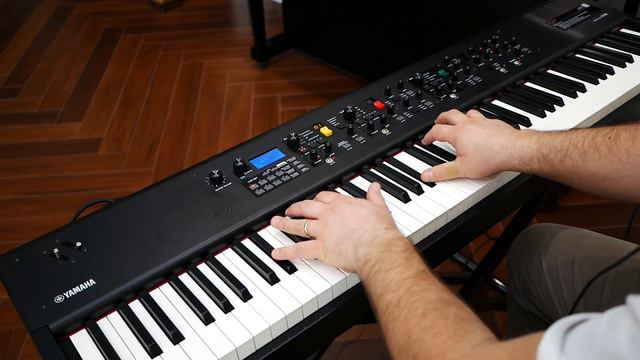 Wim Mertens - Struggle for Pleasure  Piano Version . Yamaha Cp88