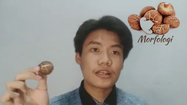 115 PBSK BA Lentinula edodes oleh Ardi Muhammad Nur смотреть онлайн