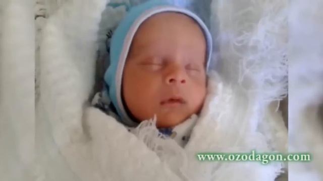 Сегоникҳо дар Кӯлоб смотреть онлайн