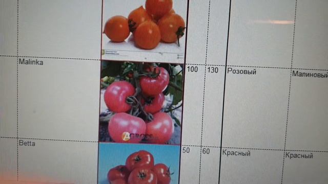 Выбор семян помидор для раннего  посева.