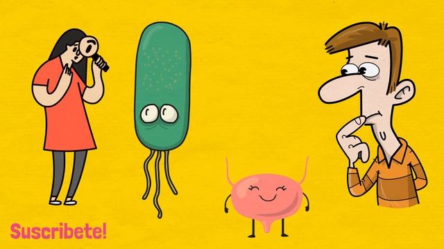 INFECCIÓN DE VÍAS URINARIAS | SÍNTOMAS Y TRATAMIENTO смотреть онлайн