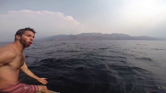 SECLUSION BAY UPDATED смотреть онлайн