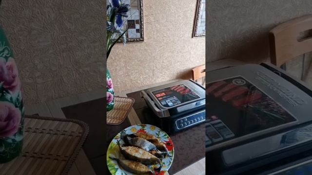 Синекорый палтус на гриле смотреть онлайн