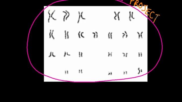 3.1 The genome and human genome project смотреть онлайн