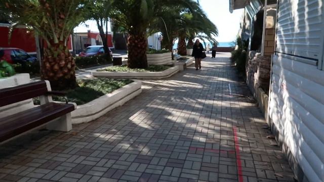 #сочи #адлер #сочипарк ВЛОГ/СОЧИ ПАРК/ЧТО ДЕЛАТЬ В СОЧИ ЗИМОЙ? смотреть онлайн