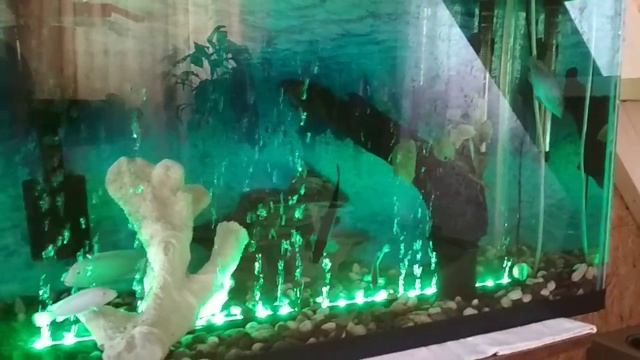 Аквариум LED подсветка смотреть онлайн