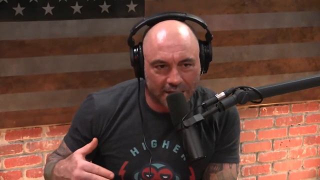 Joe and Hamilton Morris discuss Ibogaine, Medical Benefits & Legalization | Joe Rogan Experience смотреть онлайн