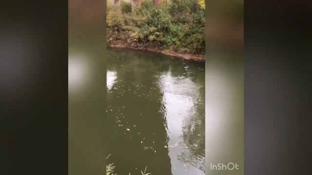 Начало . Магнитная рыбалка . смотреть онлайн