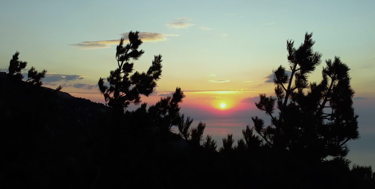 Илья Зудин - Эдельвейс