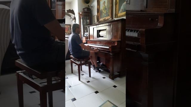 Les Millons D'Arlequin. Riccardo Drigo. Piano Pianola. Player Piano.