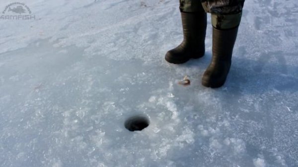 Супер уловистая блесна на окуня ECOPRO YETI 50. Первый лёд. Kamfish