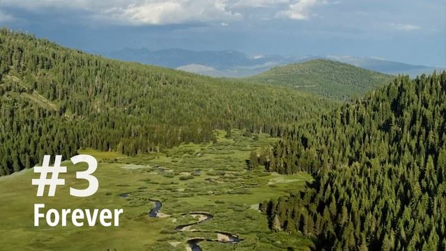 RIVIAN TOP FIVE videos from the past year (and a bit) | RIVIAN DAD смотреть онлайн