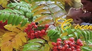 ОСЕННИЕ ЛИСТЬЯ - А. ХОПЕРСКИЙ, А. РУТА