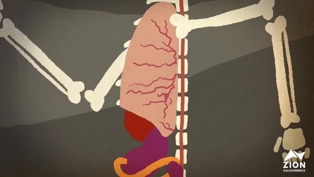 Интересные Факты о Горах смотреть онлайн