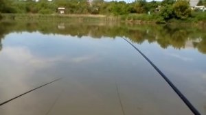 Рыбалка в Ставрополе на дачном пруду по Зеленой роще часть 1