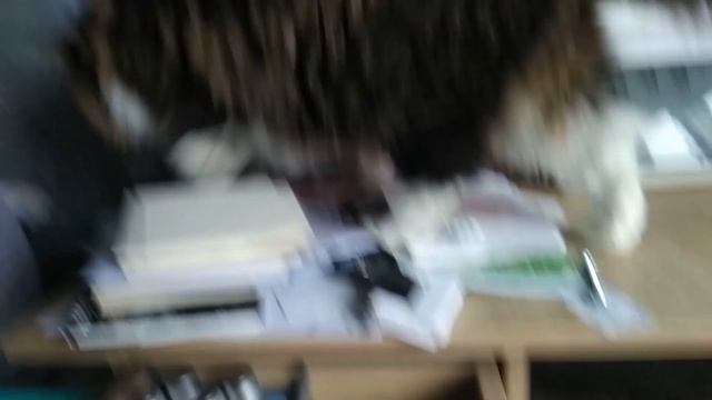 СкрапВлог №94. Мини влог, экспериментальный альбом и брак при резке / Скрапбукинг / Планер смотреть онлайн